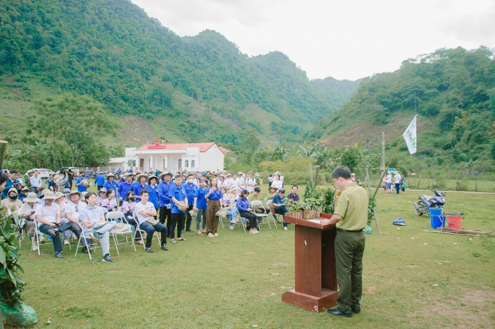 300 người tham gia trồng 25ha rừng tại Sơn La