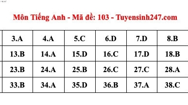 Gợi ý đáp đề thi môn Tiếng Anh vào lớp 10 tại Hà Nội