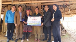 huyen mu cang chai hoan thanh muc tieu xoa nha tam dot nat