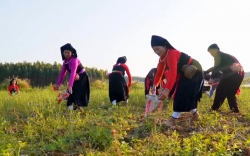 nganh du lich tinh yen bai tang cuong chuyen doi so