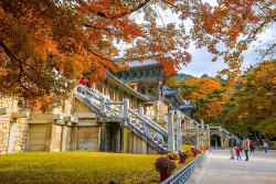 5 thang han quoc don 224000 luot khach du lich viet nam