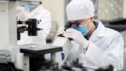 Xây dựng chính sách học bổng cho người học STEM