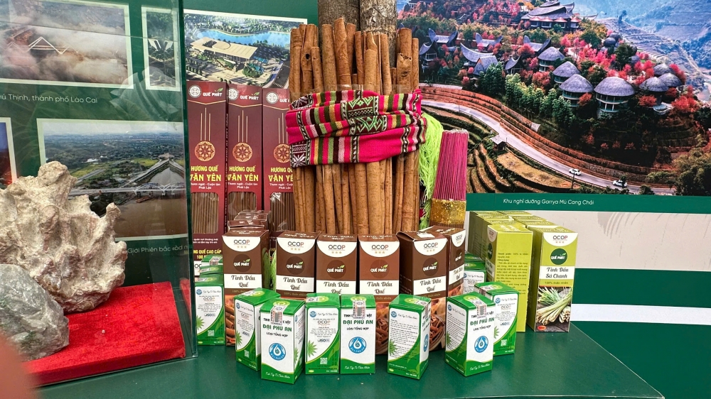 Du khách trải nghiệm nhiều hoạt động thú vị tại triển lãm thành tựu đất nước 80 năm