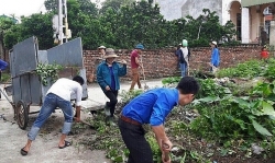 tang cuong ve sinh moi truong phong chong dich benh sot xuat huyet