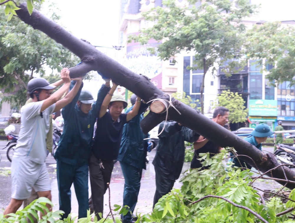 Hà Nội: Cây xanh bật gốc, gãy đổ hàng loạt sau mưa bão