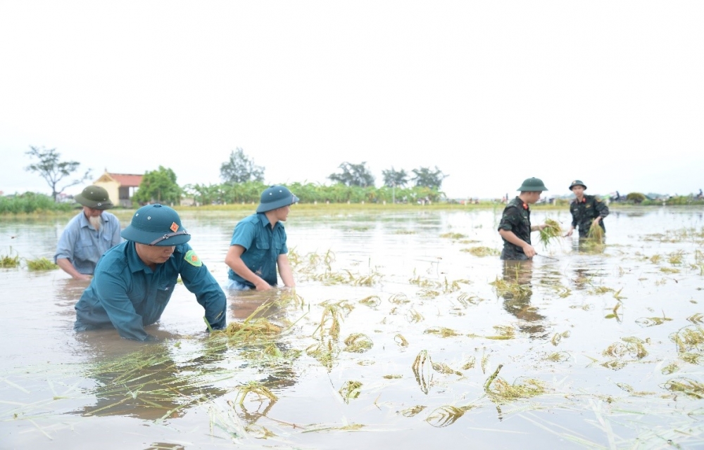 Kiểm tra công tác ứng phó với mưa lũ tại huyện Ba Vì