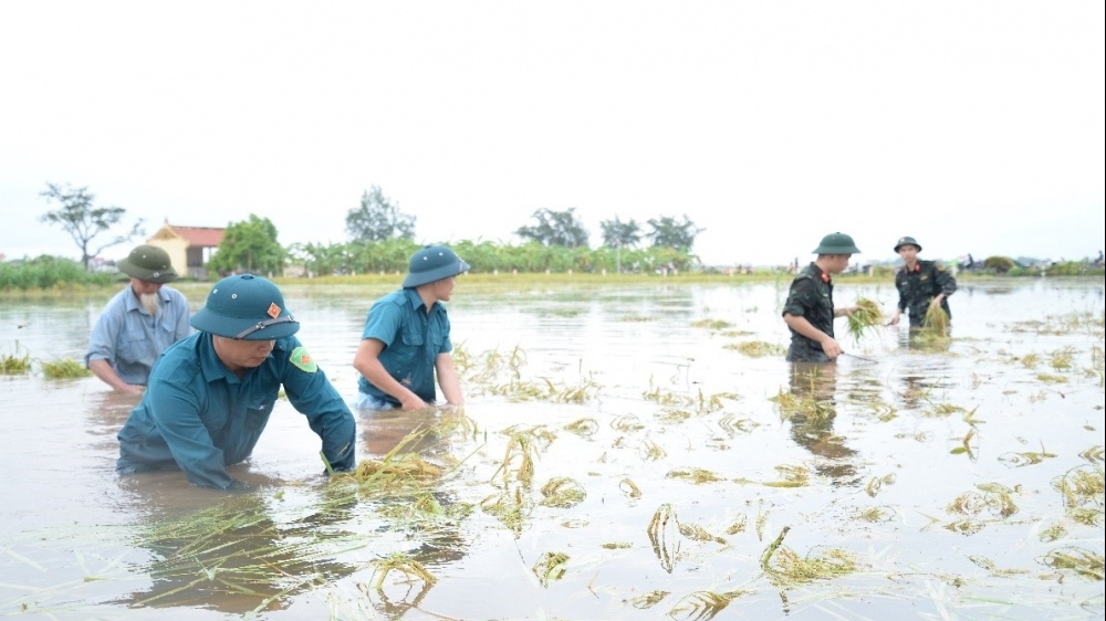 Tỏa sáng nghĩa đồng bào trong cơn bão lũ