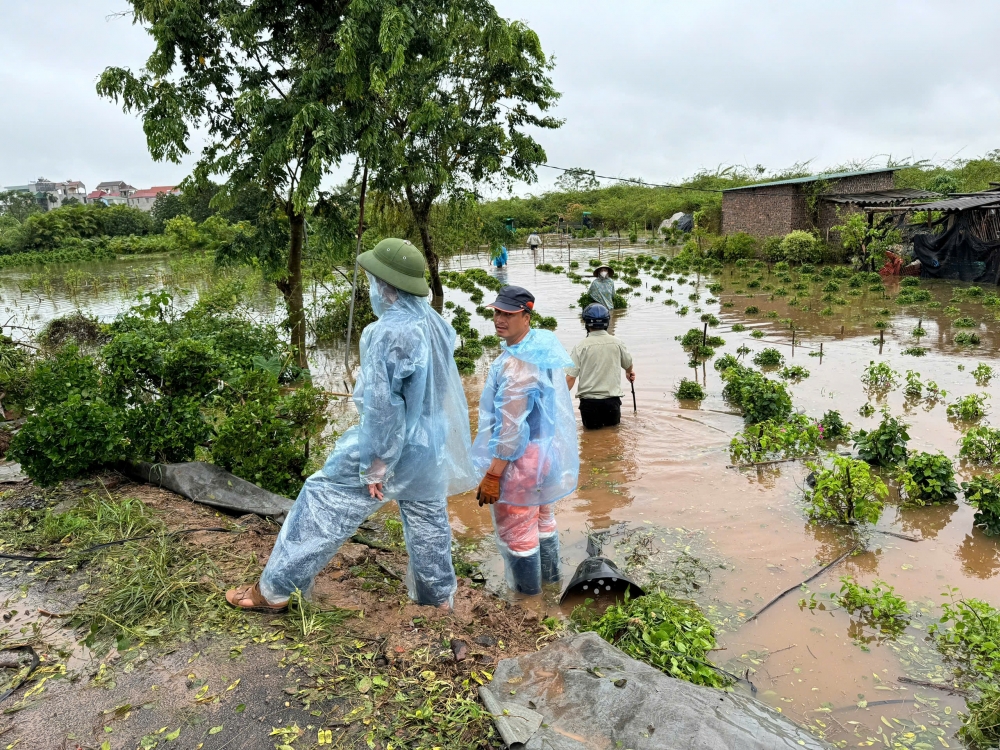 Dân vùng ven sông Đuống vất vả “chạy lũ”