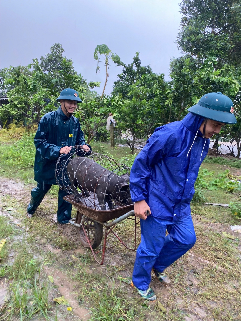 Dân vùng ven sông Đuống vất vả “chạy lũ”