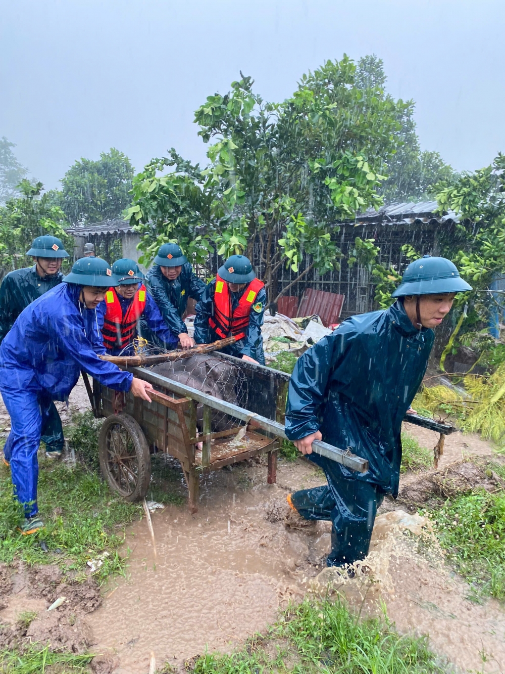 Dân vùng ven sông Đuống vất vả “chạy lũ”