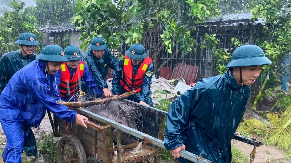 Dân vùng ven sông Đuống vất vả “chạy lũ”