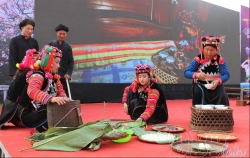 thuc day lien ket du lich cac tinh tay bac va tp ho chi minh