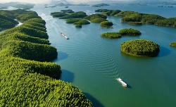 du lich lao cai dang dan tro thanh nganh kinh te mui nhon