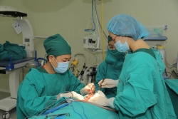 Phẫu thuật khối u tuyến mang tai kích thước lớn ở bệnh nhân lớn tuổi