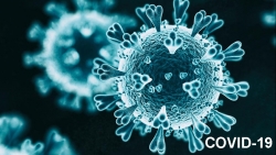 Từ hôm nay, bệnh COVID-19 được công nhận là bệnh truyền nhiễm nhóm B