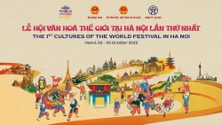 tam lui thoi gian to chuc le hoi van hoa the gioi tai ha noi