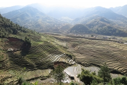 lao cai tam ngung to chuc cac tour tuyen du lich den cac diem bi anh huong cua bao