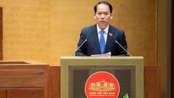 Thúc đẩy đổi mới sáng tạo, phát triển thị trường sở hữu trí tuệ