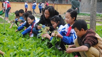 Đảm bảo công tác an toàn thực phẩm bữa ăn nội trú tại Yên Bái