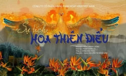 Chiếu phim ngoài trời bên Tượng đài Cảm Tử