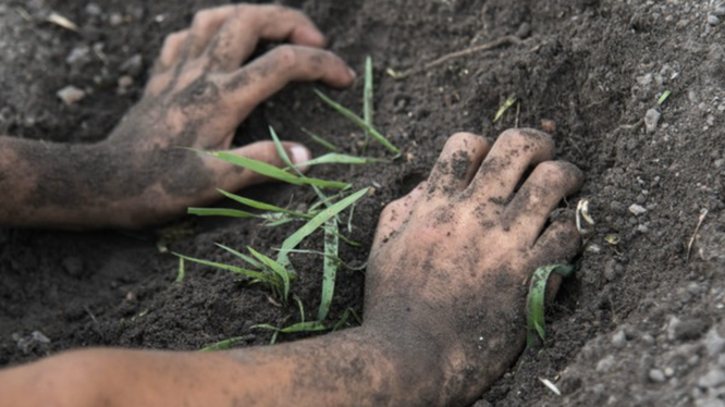 Ghi nhận hai trường hợp trẻ em nhiễm loại vi khuẩn độc có trong bùn đất