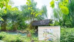 cong vien thuc canh viet nam oc dao xanh giua long ha noi