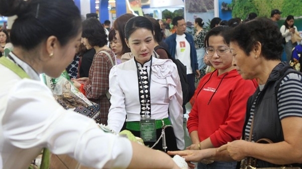 Nỗ lực gùi nương xuống phố, lan tỏa hương sắc vùng cao