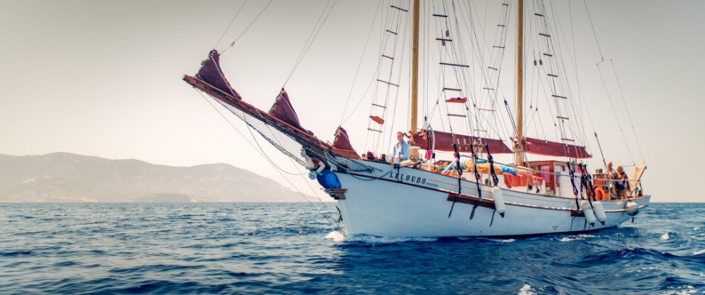 GÀ CON LẠC ĐÀN GÀ CON LẠC ĐÀN