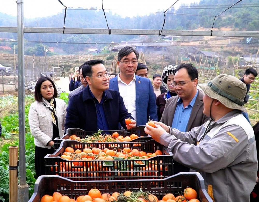 Chủ tịch UBND tỉnh Yên Bái thăm mô hình phát triển kinh tế tại Mù Cang Chải