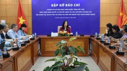 Tổng kết việc thực hiện Nghị quyết 36-NQ/TW về công tác người Việt Nam ở nước ngoài