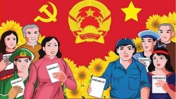 tp ha noi co 11 don vi bau cu