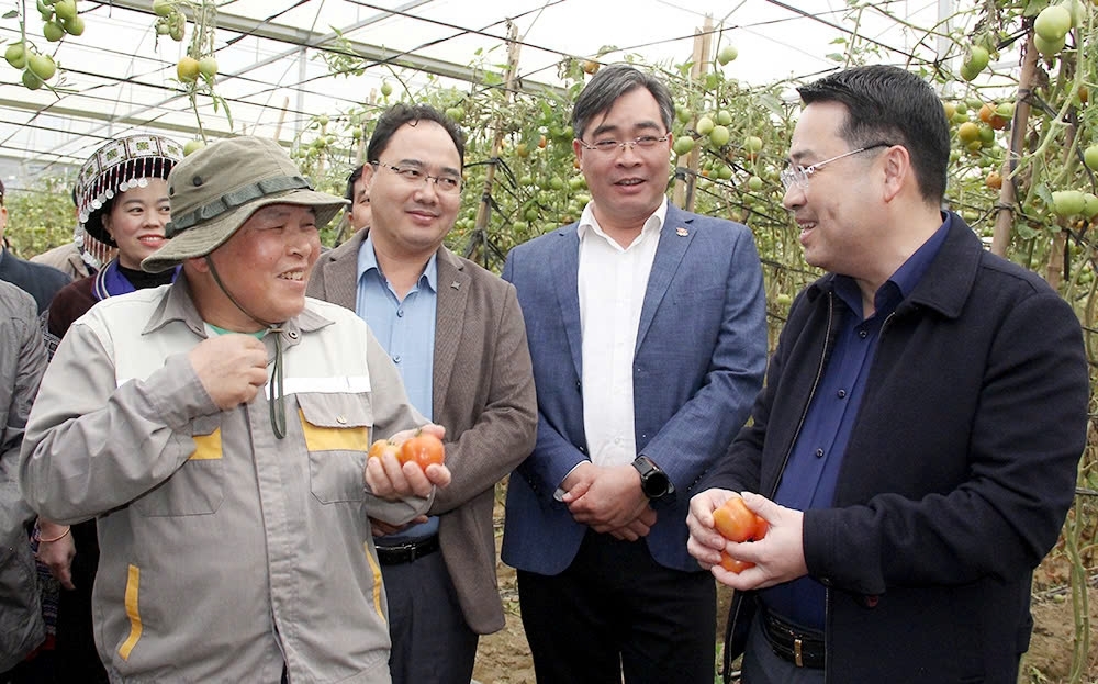 Lào Cai: Không ngừng nâng cao chỉ số hạnh phúc cho người dân