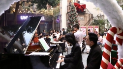 mach ngam sang tao dang lan toa trong long ha noi