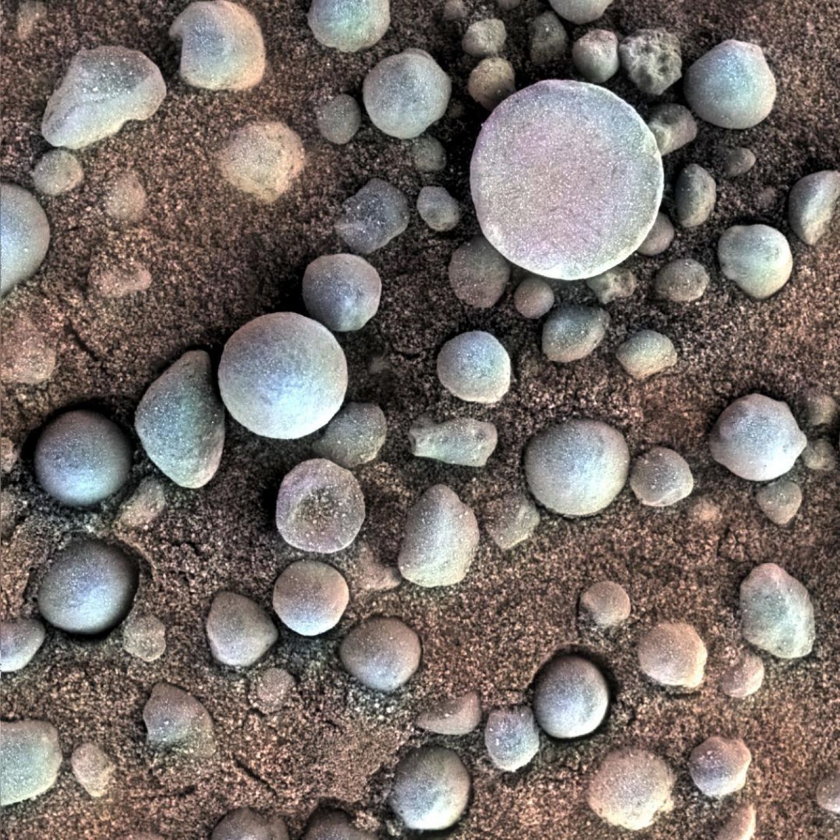 Những khối đá nhỏ giàu hematite này nằm gần miệng hố Fram được tàu thăm dò Opportunity của NASA chụp lại vào tháng 4/2004. Những khoáng chất này cho thấy sao Hỏa từng có một môi trường nhiều nước.