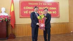 ong do anh tuan giu chuc giam doc so ke hoach va dau tu ha noi