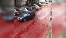 Sốc: Nửa triệu lít máu tràn lênh láng ra đường phố