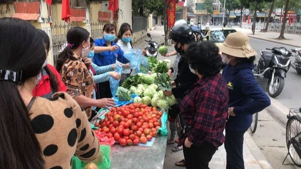 Tuổi trẻ thị xã Sơn Tây hỗ trợ nông dân tiêu thụ nông sản