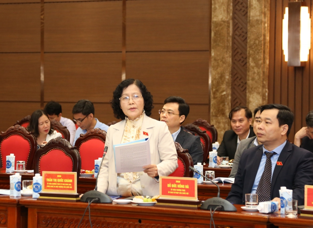 Đại biểu Quốc hội Phạm Thị Quốc Khánh phát biểu tại hội nghị