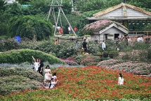 pho phuong ha noi lang man ngay nghi le