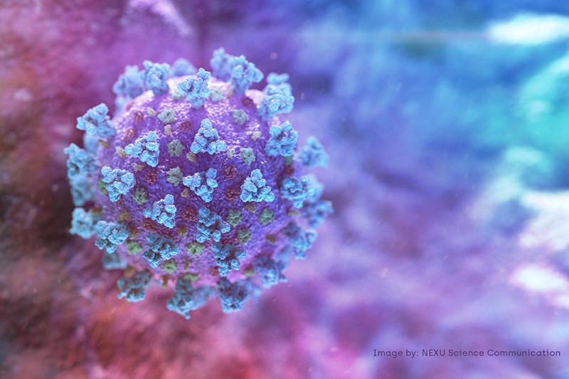 Phát hiện bất ngờ giúp cảnh báo sớm dịch Covid-19 trong cộng đồng phat hien bat ngo giup canh bao som dich covid 19 trong cong dong