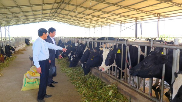 Thực hiện Chỉ thị 05: Học và làm theo Bác không chỉ là khẩu hiệu