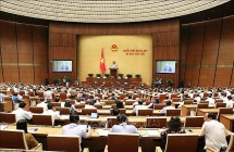 Kỳ họp thứ 7, Quốc hội khóa XIV: Cho ý kiến dự án Luật Phòng, chống tác hại của rượu, bia