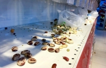 Nhiều chi nhánh Auchan bị 