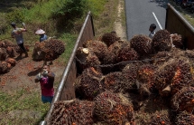 Chính phủ Malaysia muốn người dân bớt kén việc làm để thúc đẩy kinh tế