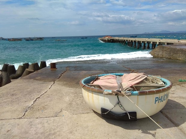 Thanh niên trẻ khởi nghiệp thành công với nghề nuôi mực cho du lịch