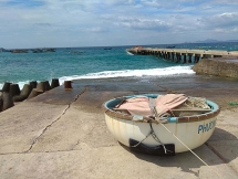 Thanh niên trẻ khởi nghiệp thành công với nghề nuôi mực cho du lịch