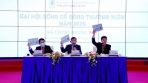 Thông qua 7  tờ trình, dự kiến chia cổ tức 30% trong năm 2020