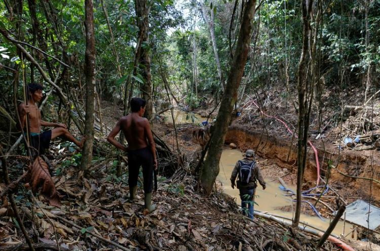 ‘Cơn sốt" vàng Amazon đe dọa sự sinh tồn của bộ lạc lớn nhất Brazil