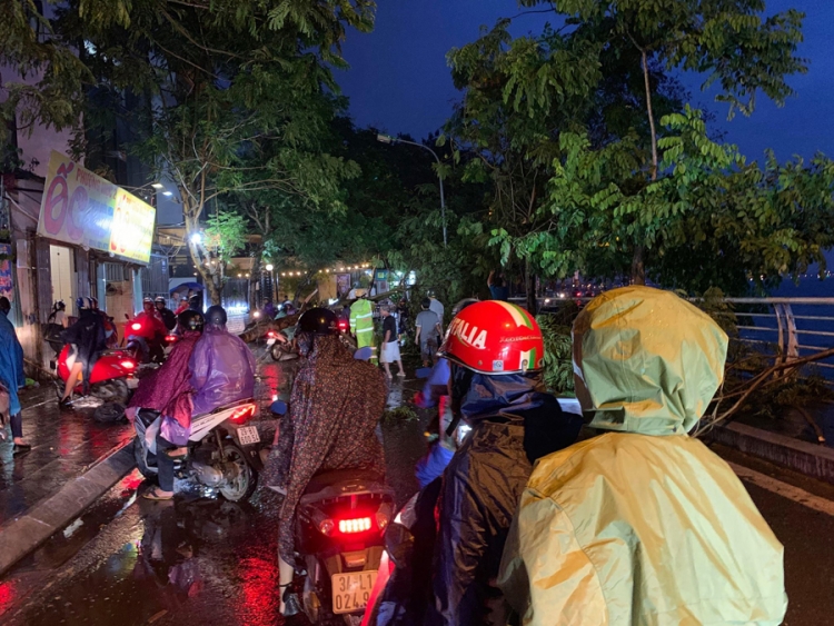 ha noi anh huong bao so 2 cay xanh do va vao 2 phu nu di tren duong