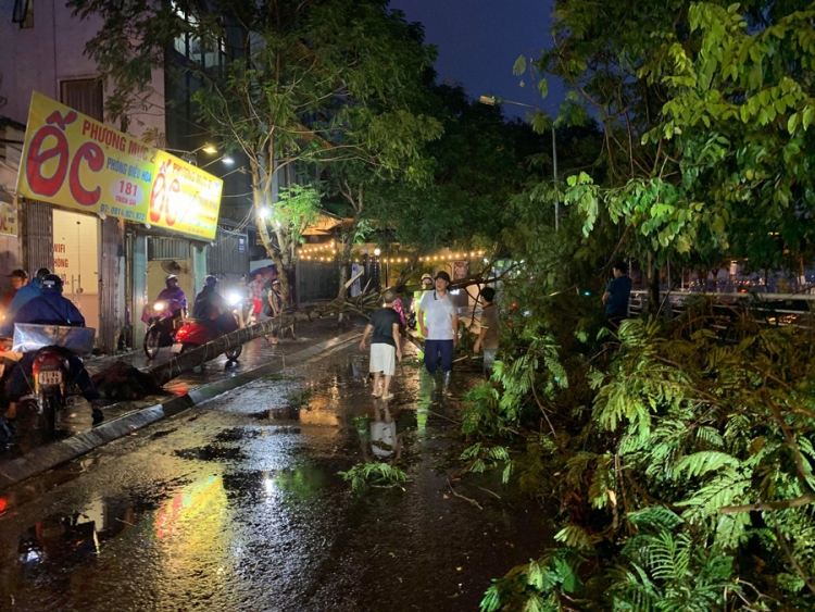 ha noi anh huong bao so 2 cay xanh do va vao 2 phu nu di tren duong